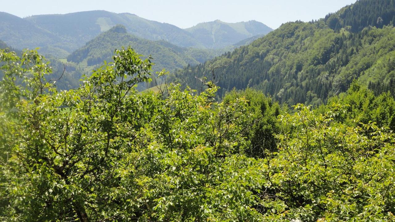 Ennstalerhof Hotel Grossraming Kültér fotó